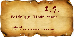 Palágyi Tibériusz névjegykártya